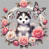 Animal Integration-DW 508